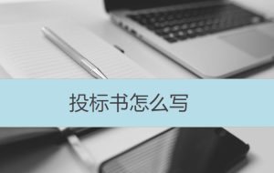 投標(biāo)書怎么寫
