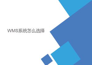 wms系統(tǒng)怎么選擇？